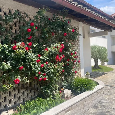 Apartma Pri Cesarjevih דירה *
